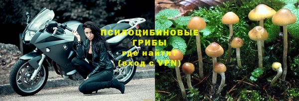 прущая мука Вязники